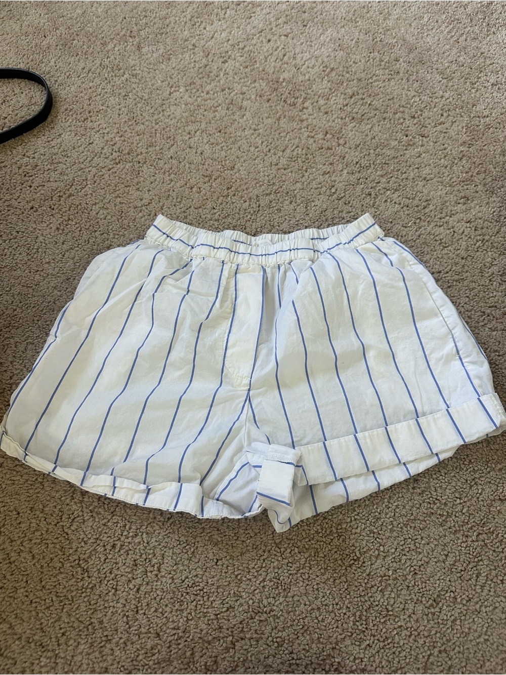 Aritzia White Shorts with Light Blue Stripes
